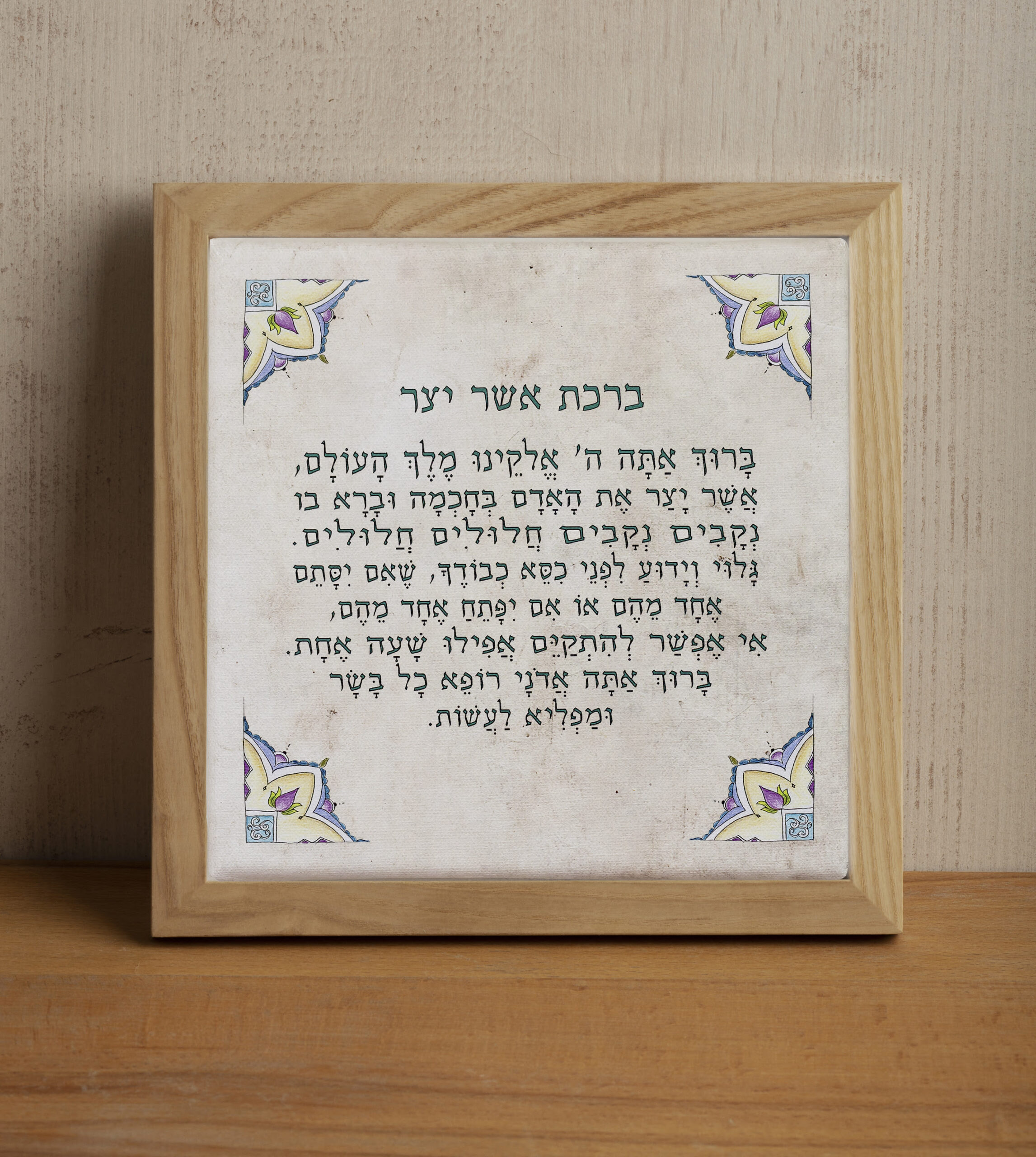 אשר יצר I צופיה - פשיטא
